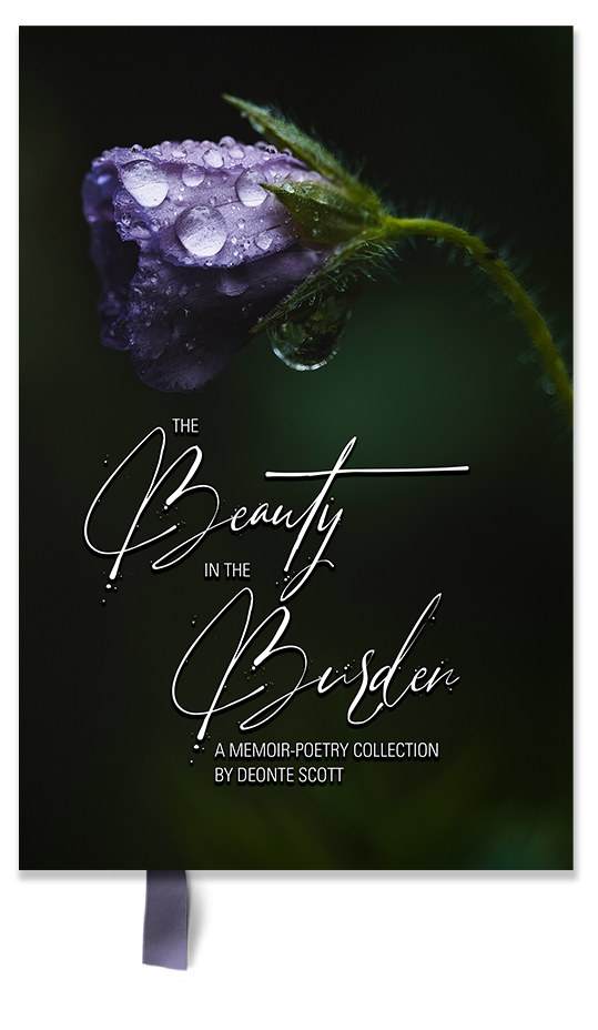 The Beauty in the Burden book cover design